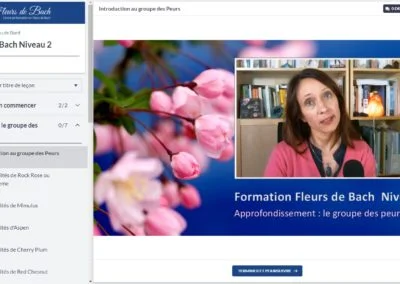 Fleurs-de-bach-me-former-niveau-2-video-groupe-fleurs