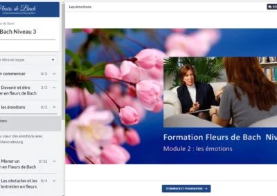 Fleurs-de-bach-me-former-niveau-3-video-émotions