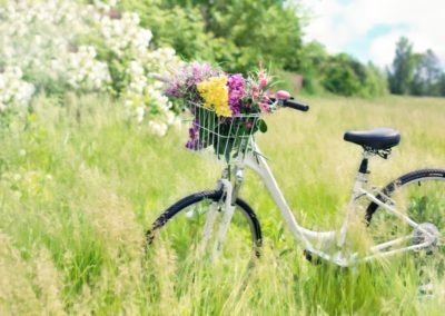 Le Journal des Fleurs de Bach - vélo-fleurs