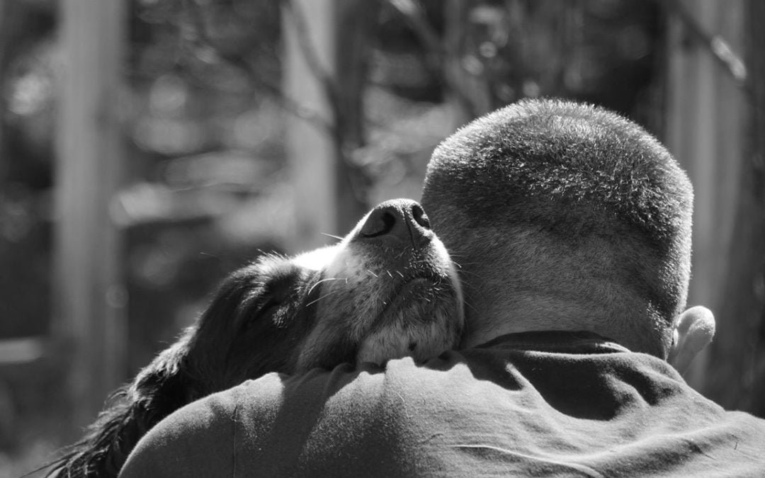 Accompagner le duo Homme/Animal avec les fleurs de Bach (Partie 1)