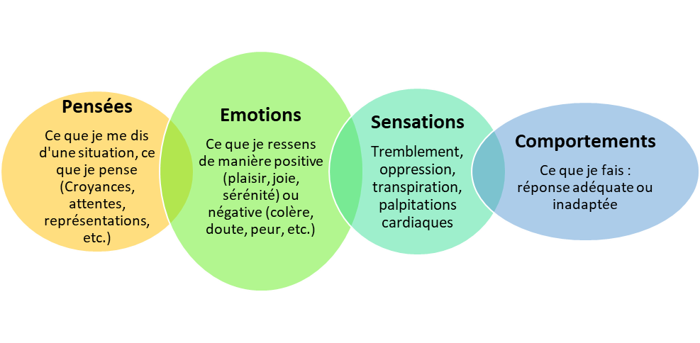 Le Journal des Fleurs de Bach sensations pensées émotions comportements